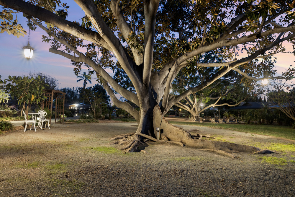 Venue photo 35