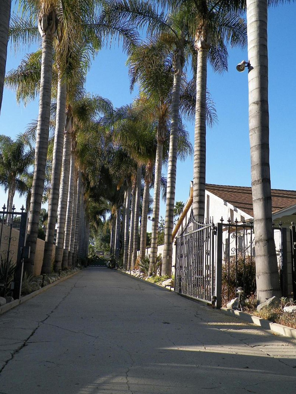 Venue photo 1