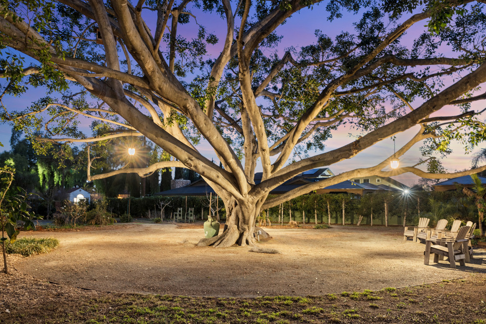 Venue photo 36