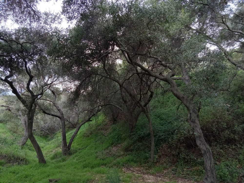 Venue photo 4