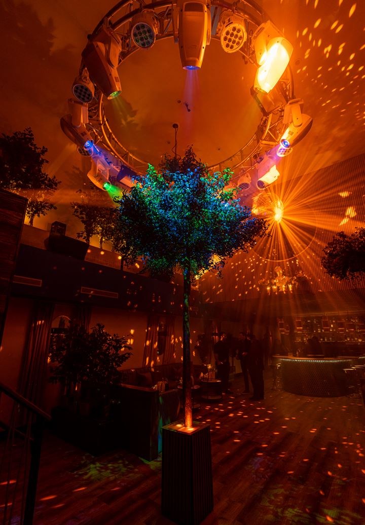 Venue photo 16