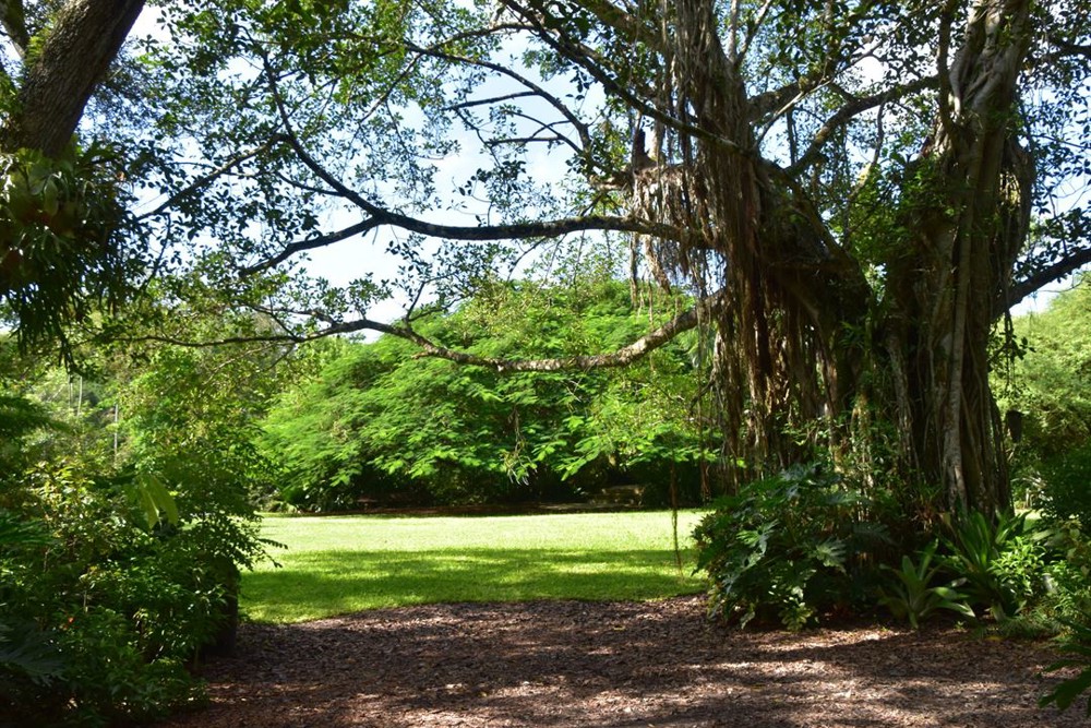 Venue photo 51