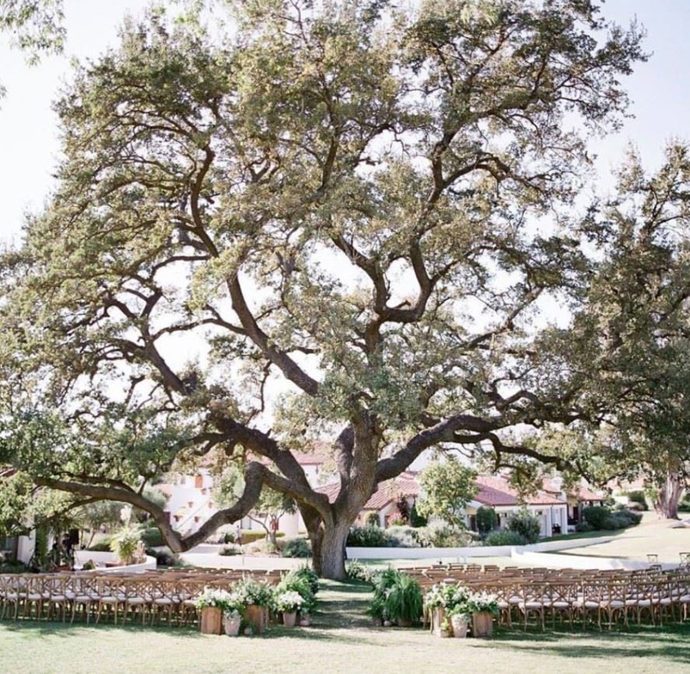 Venue photo 4