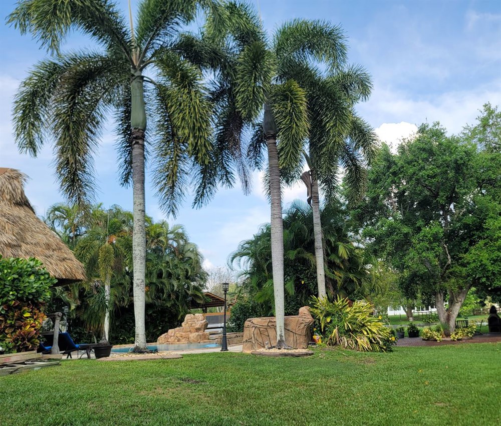 Venue photo 14