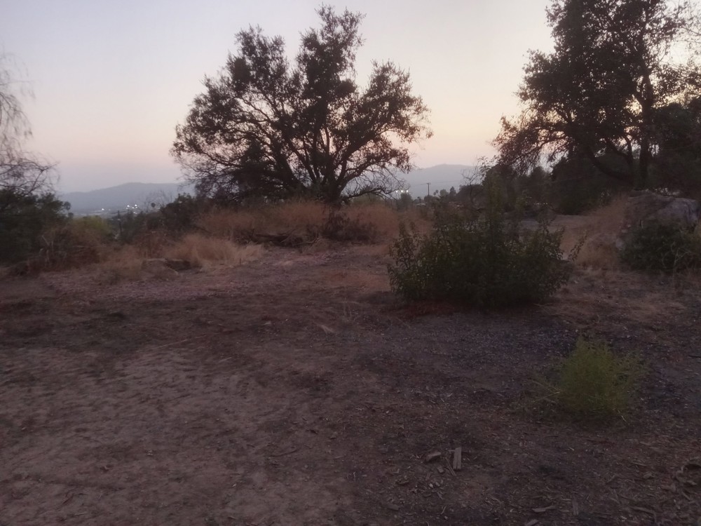 Venue photo 24
