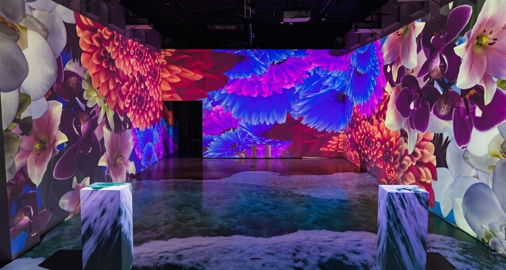 Venue photo 10