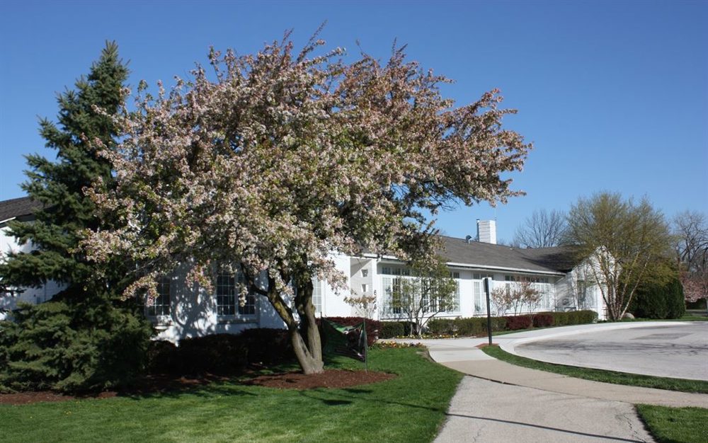 Venue photo 1