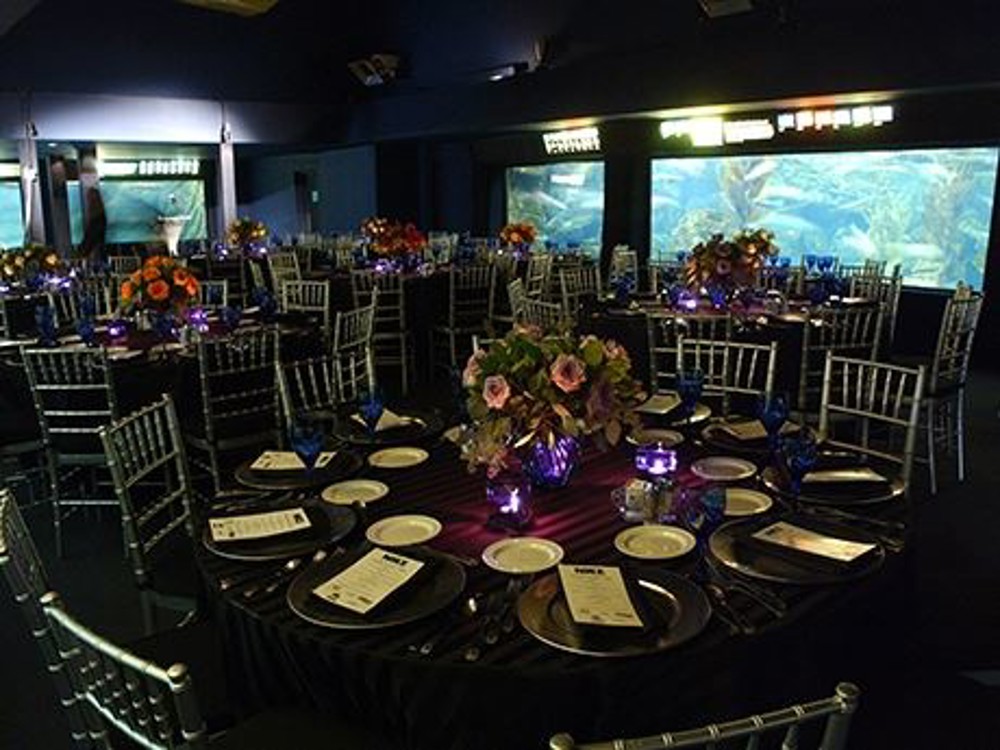 Venue photo 6