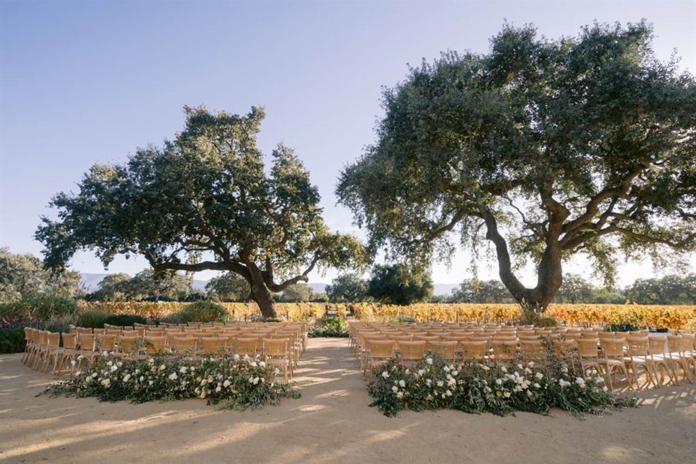 Venue photo 36