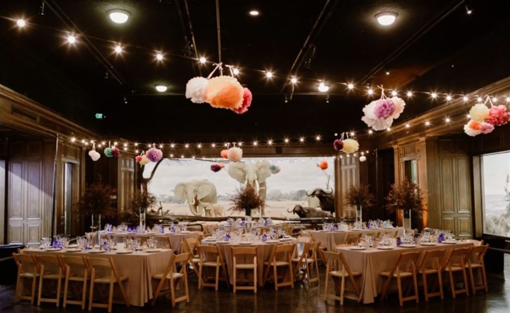 Venue photo 8
