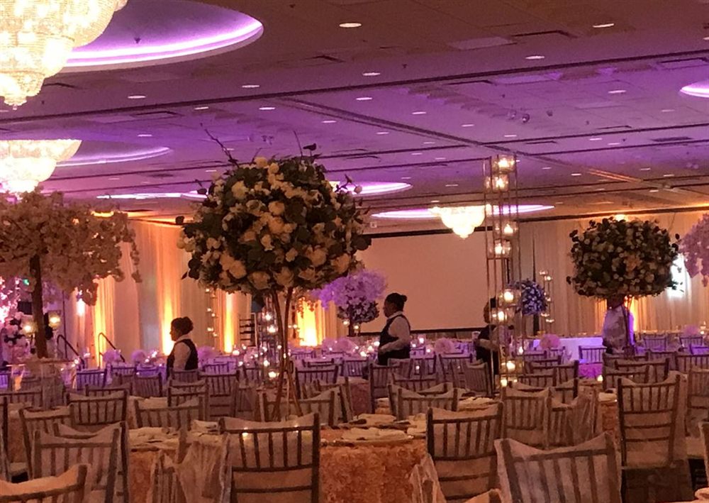 Venue photo 1