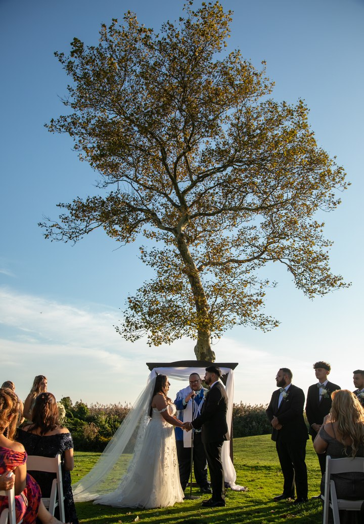 Venue photo 17