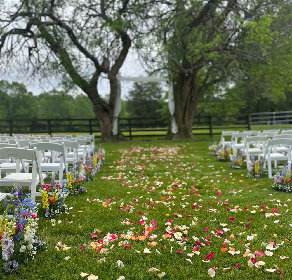 Venue photo 11