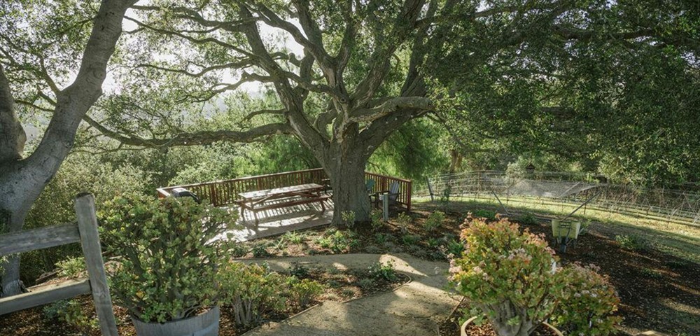 Venue photo 25