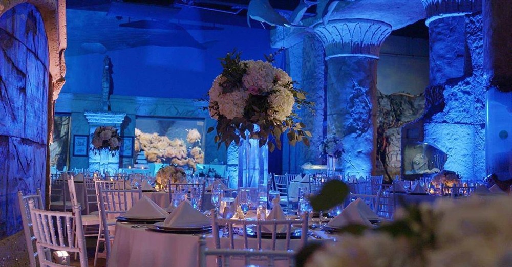 Venue photo 7