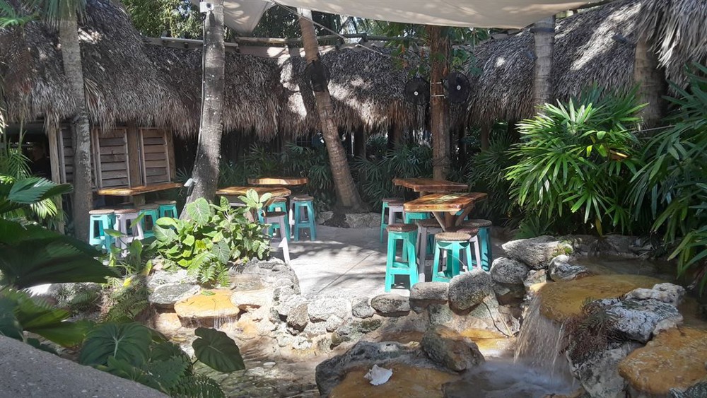 Venue photo 17