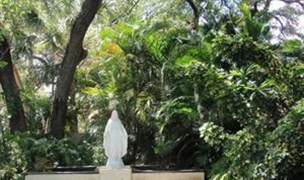 Venue photo 15
