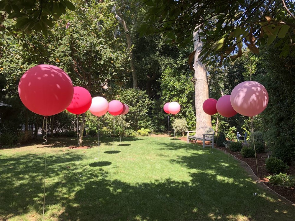 Venue photo 8