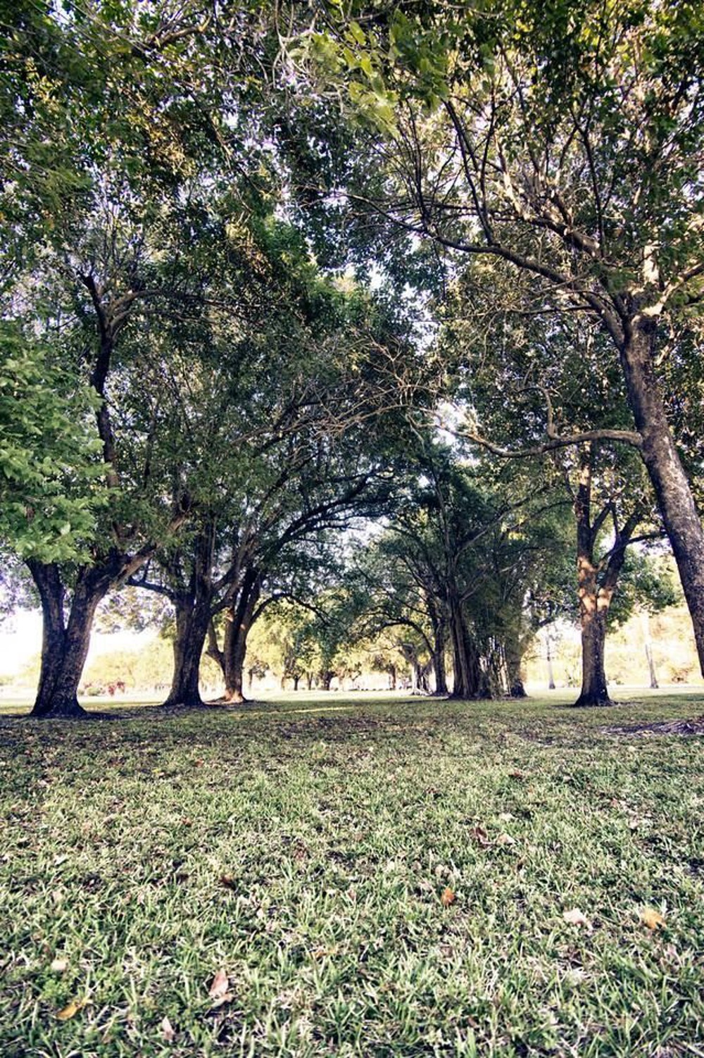 Venue photo 9