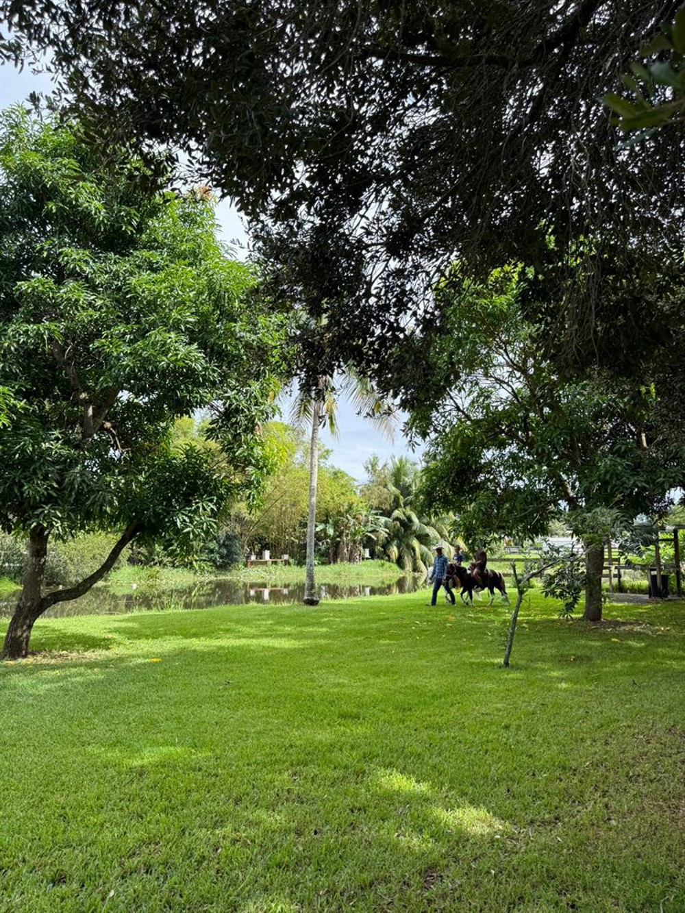 Venue photo 55