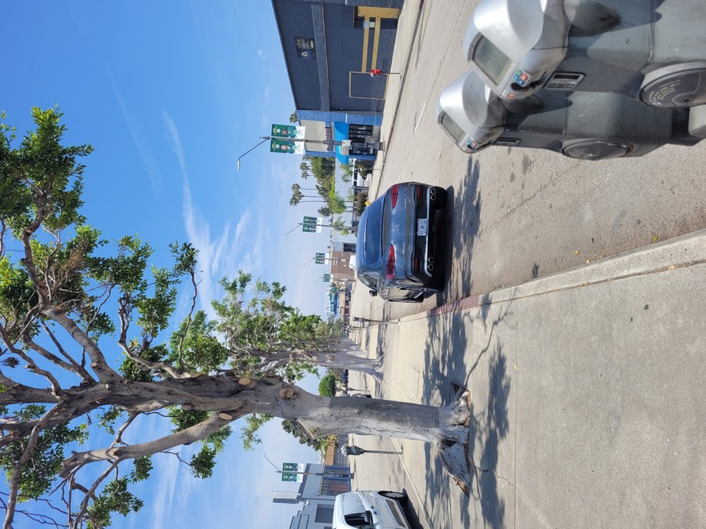 Venue photo 34