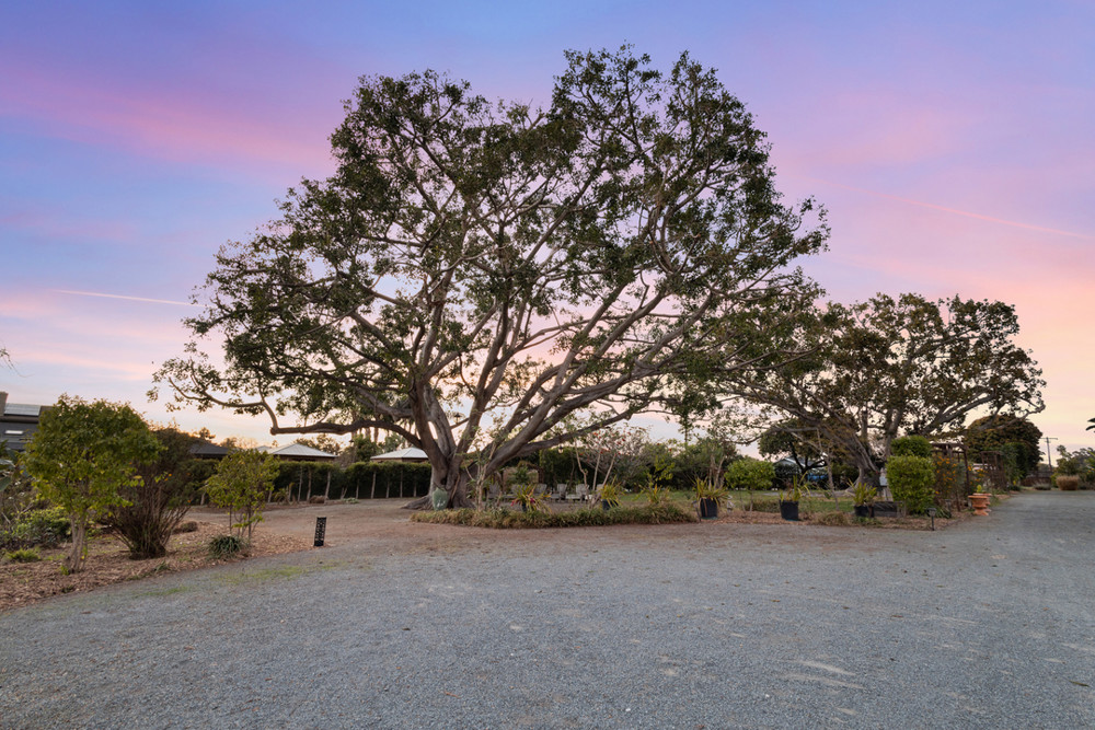 Venue photo 40