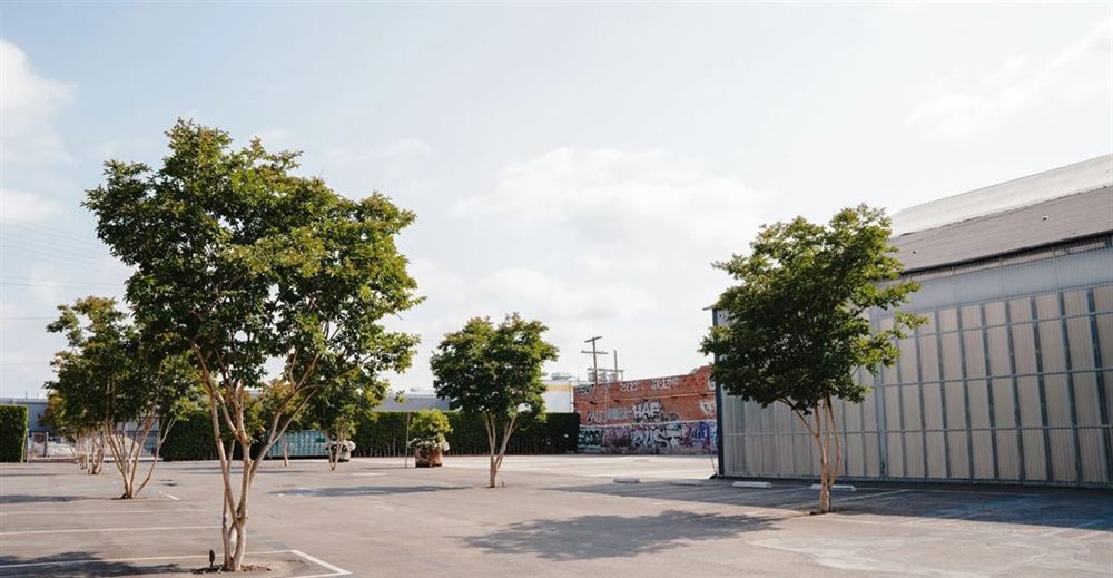 Venue photo 6