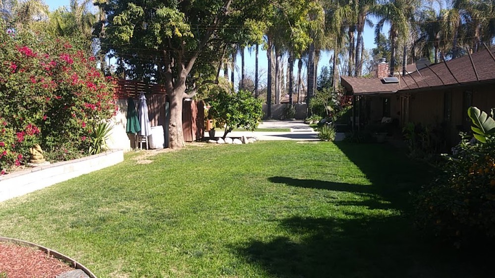 Venue photo 12