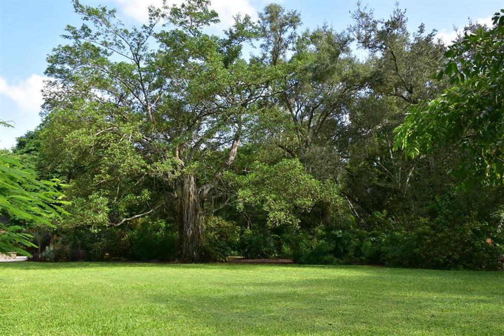 Venue photo 53