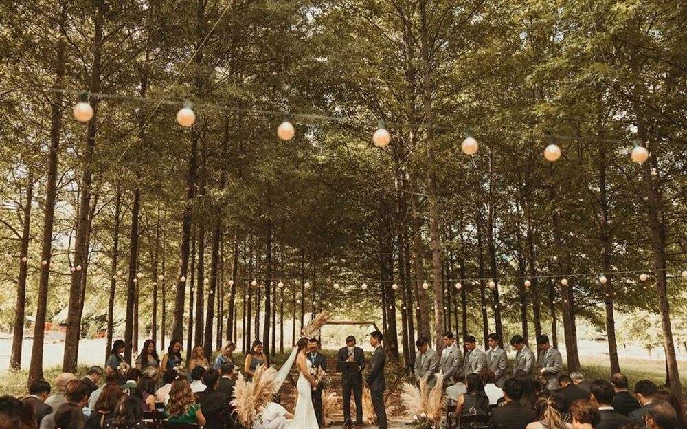 Venue photo 4