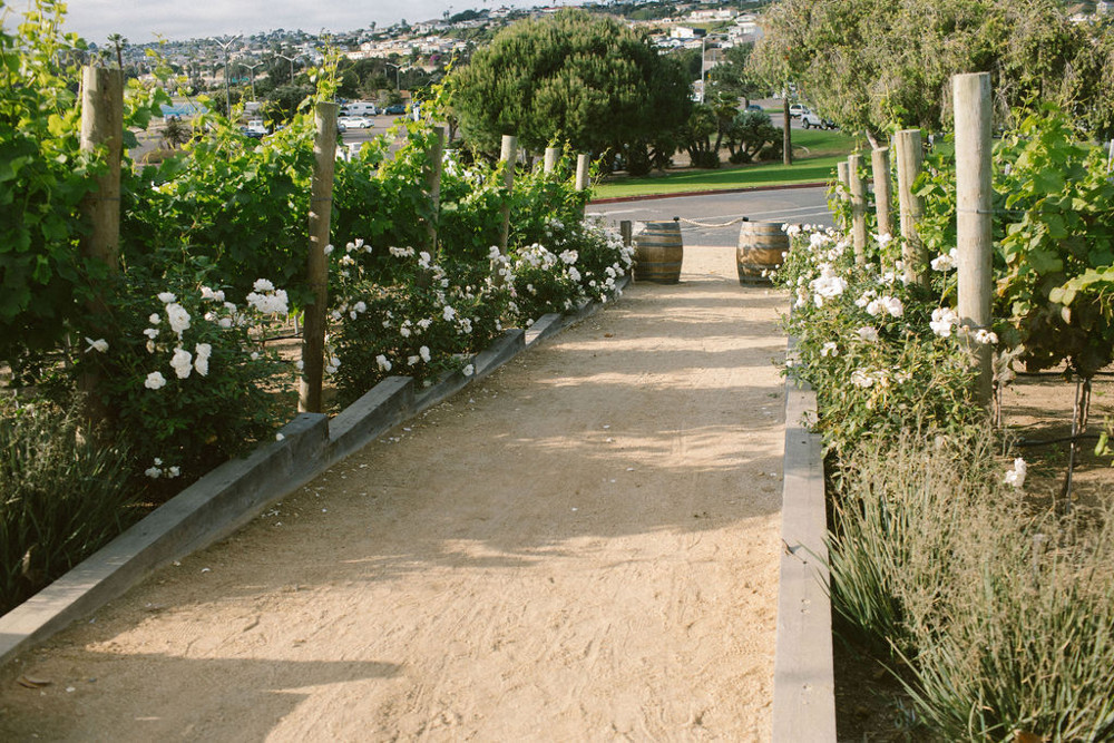 Venue photo 23