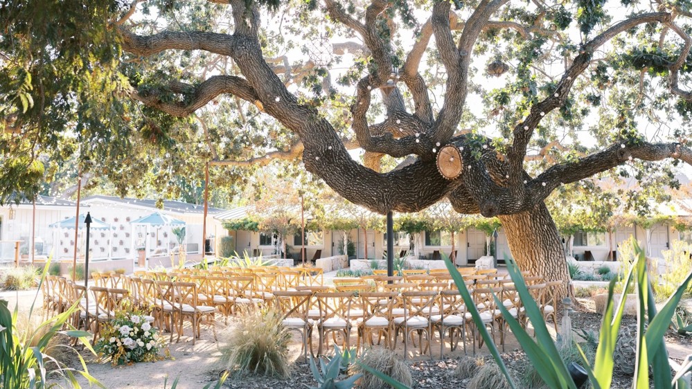 Venue photo 2