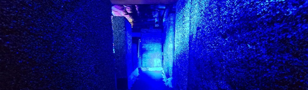 Venue photo 17