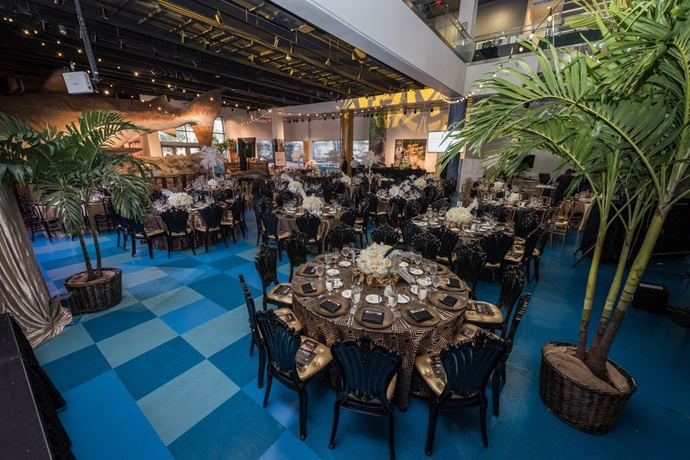 Venue photo 4