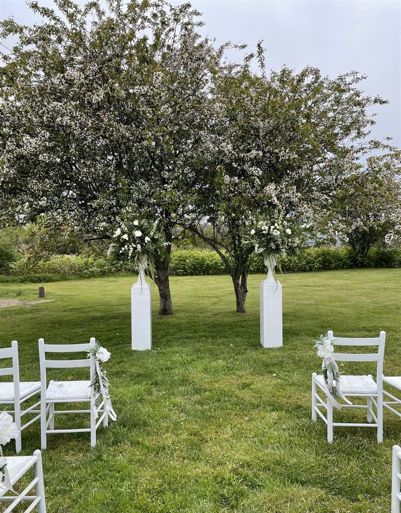 Venue photo 8
