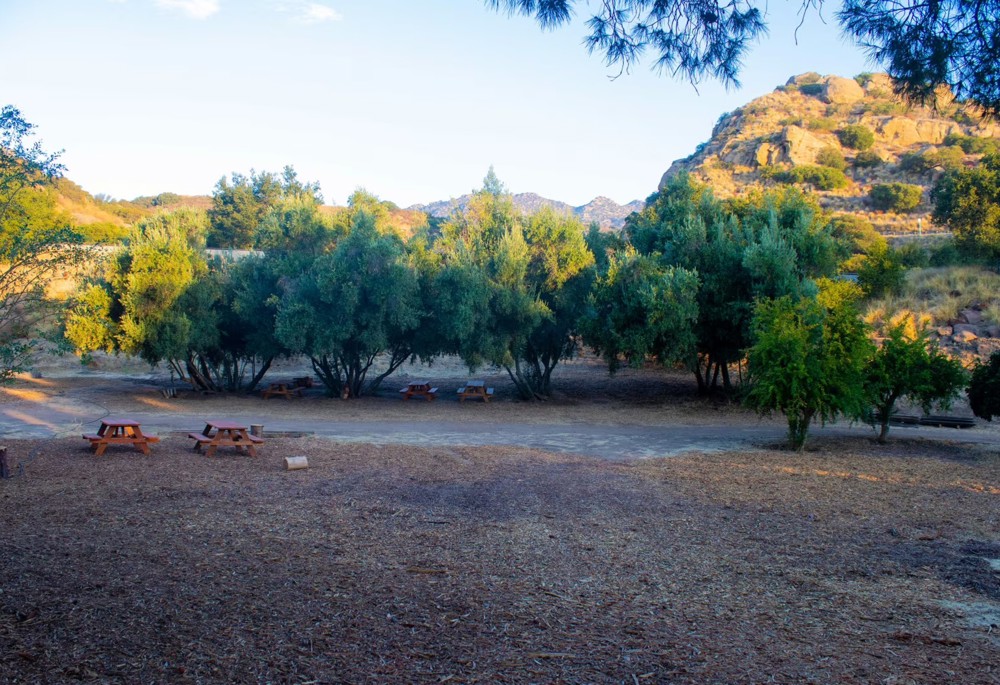 Venue photo 7