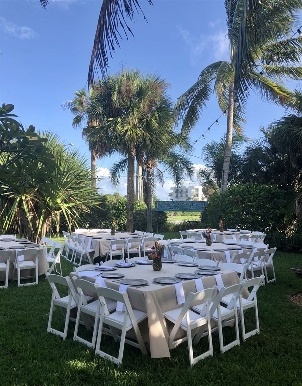 Venue photo 4