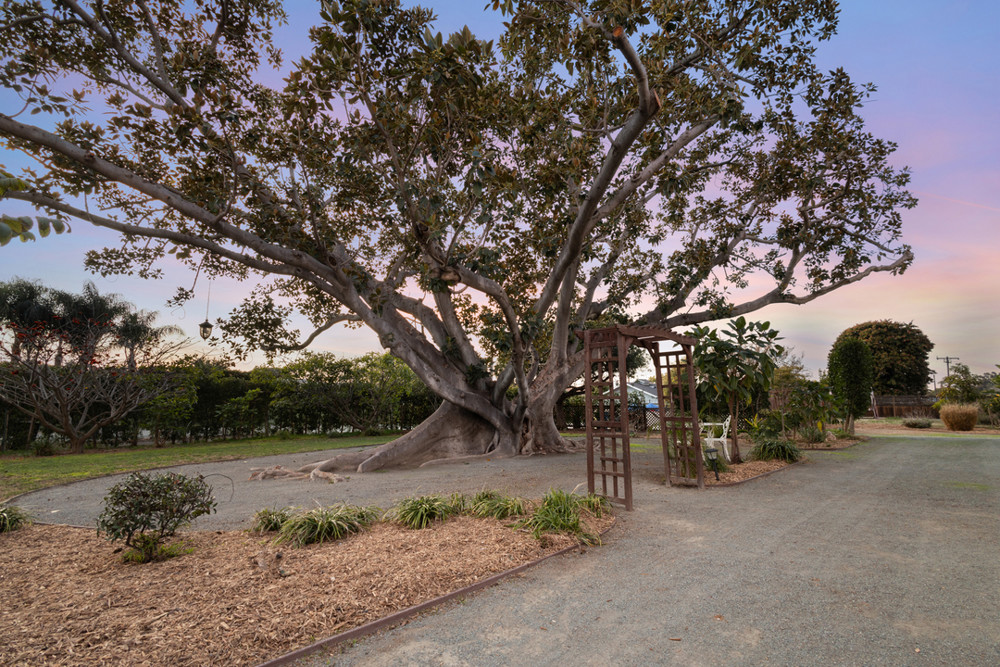 Venue photo 41