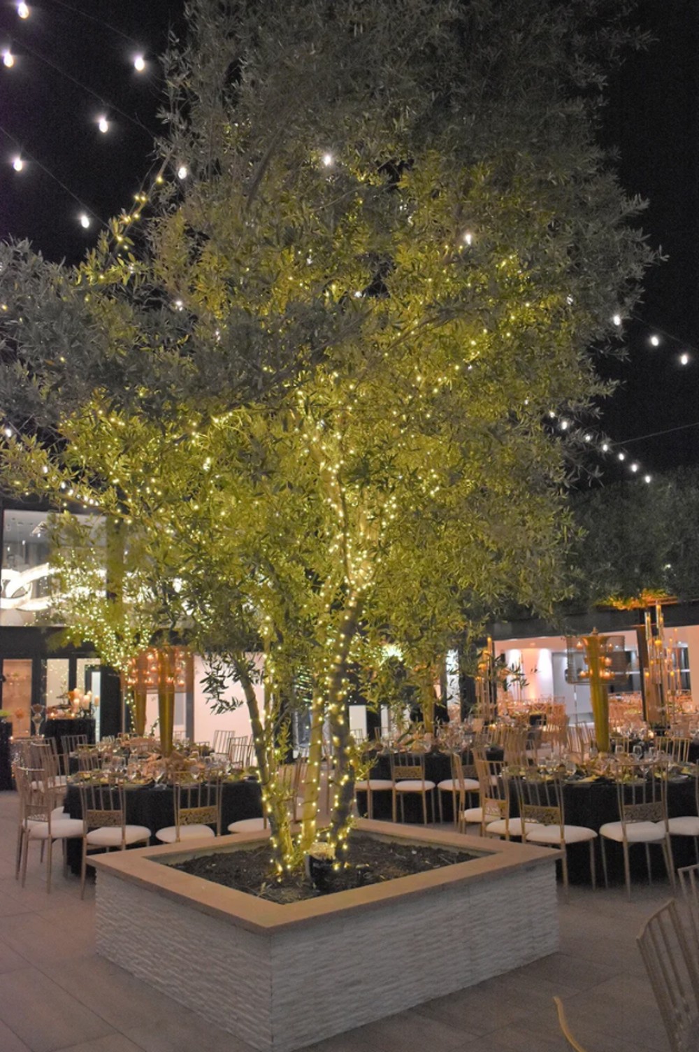 Venue photo 6