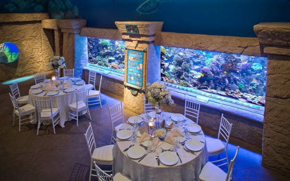 Venue photo 2