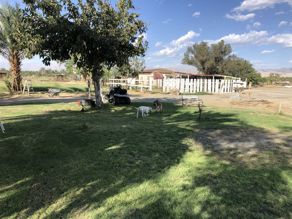 Venue photo 7