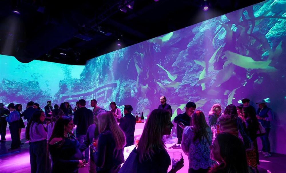 Venue photo 3