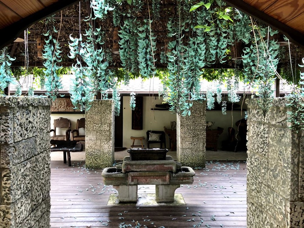 Venue photo 38