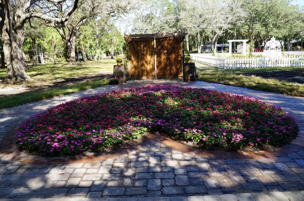 Venue photo 7