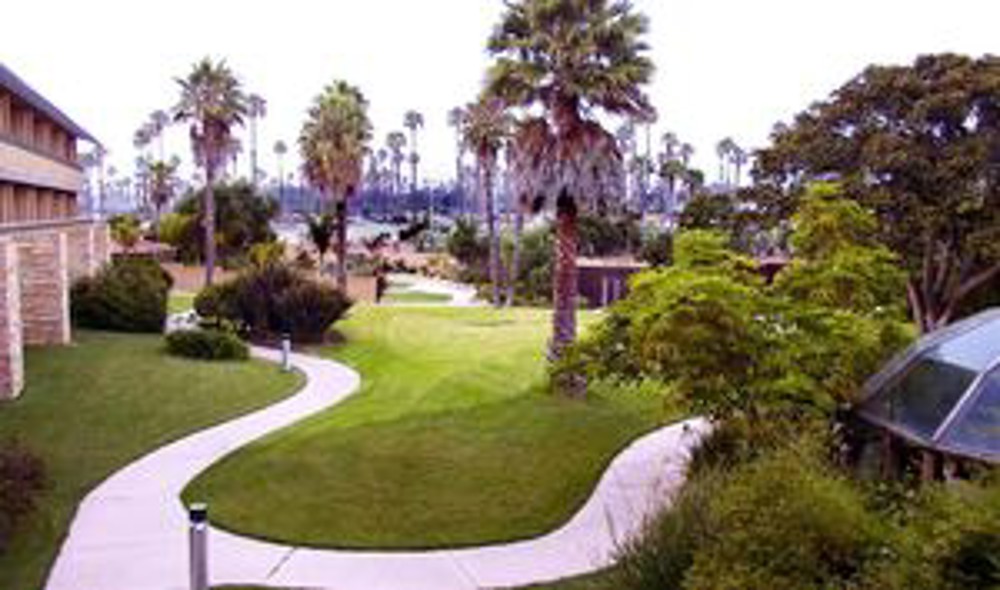 Venue photo 4