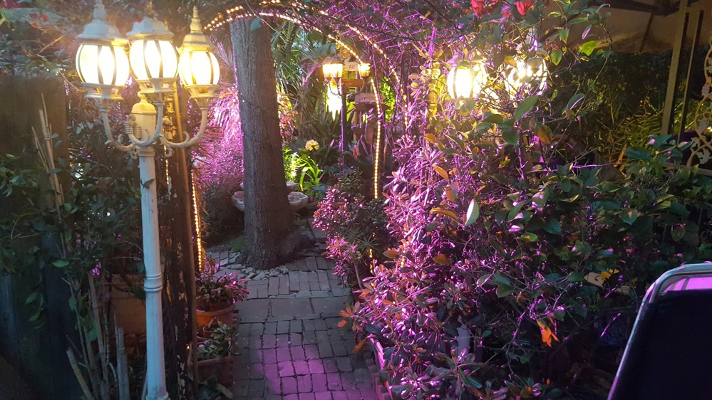 Venue photo 33