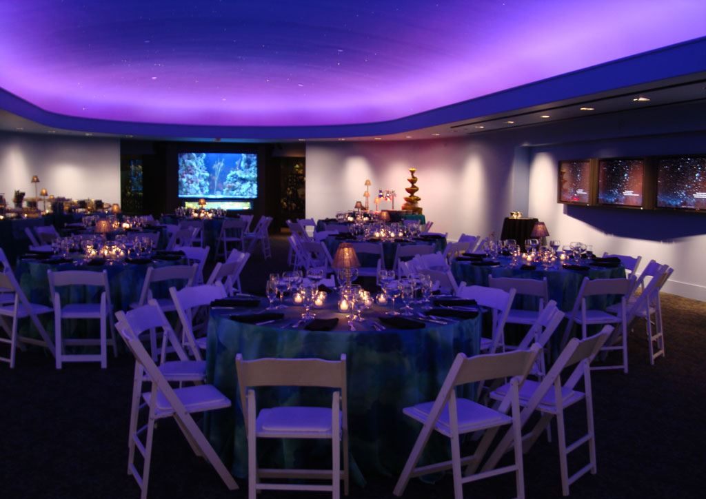 Venue photo 6