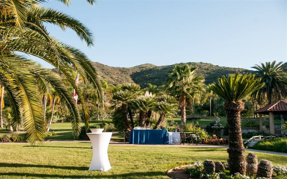 Venue photo 8