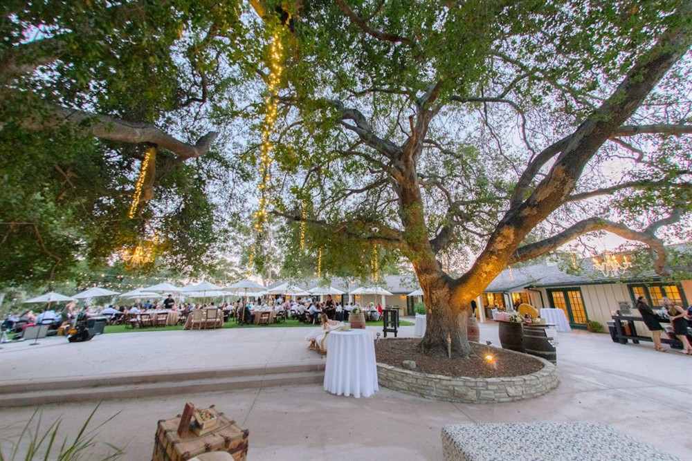 Venue photo 19