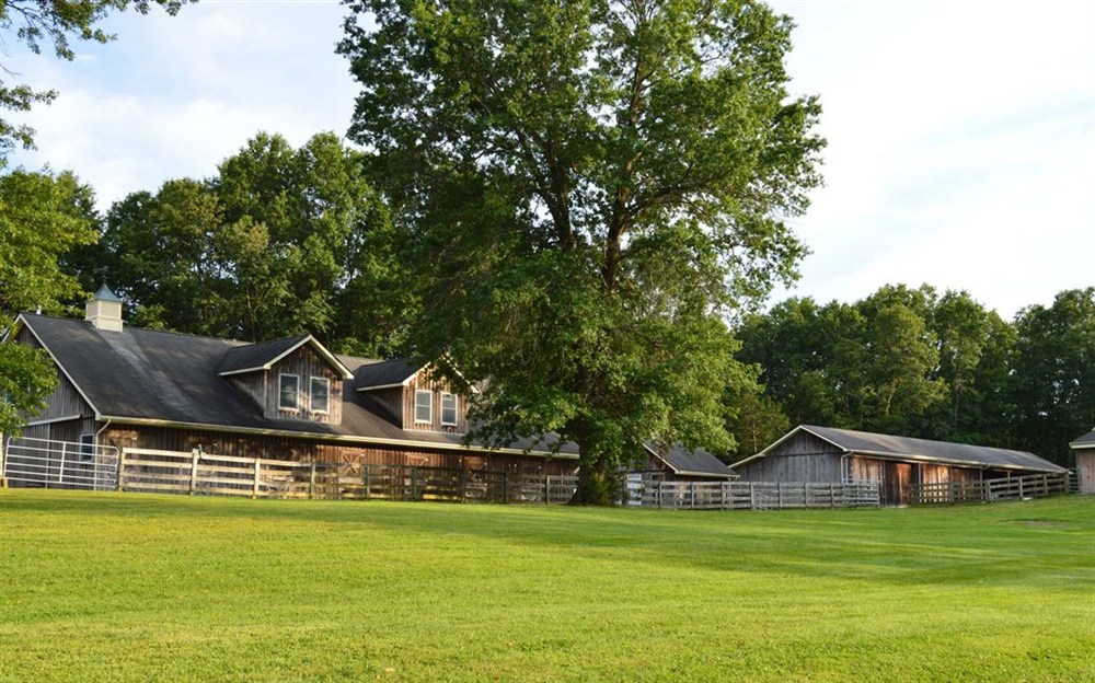 Venue photo 16